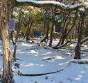 Texas Land Art Exhibit Show